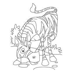 Zebra (Animals) coloring page #197181 to print and color