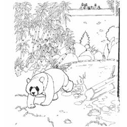 Coloring page: Zoo (Animals) #12641 - Free Printable Coloring Pages