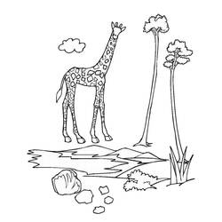 Coloring page: Zoo (Animals) #12652 - Free Printable Coloring Pages