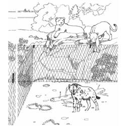 Coloring page: Zoo (Animals) #12653 - Free Printable Coloring Pages