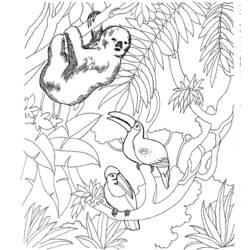 Coloring page: Zoo (Animals) #12655 - Free Printable Coloring Pages