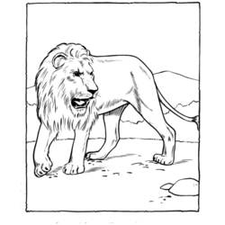 Coloring page: Zoo (Animals) #12656 - Free Printable Coloring Pages