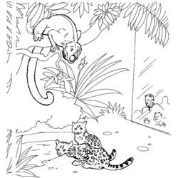 Coloring page: Zoo (Animals) #12668 - Free Printable Coloring Pages