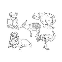 Coloring page: Zoo (Animals) #12671 - Free Printable Coloring Pages