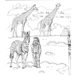 Coloring page: Zoo (Animals) #12677 - Free Printable Coloring Pages