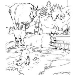 Coloring page: Zoo (Animals) #12713 - Free Printable Coloring Pages