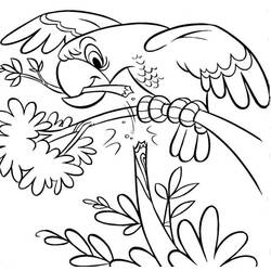 Coloring page: Zoo (Animals) #12716 - Free Printable Coloring Pages