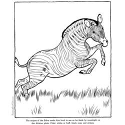 Coloring page: Zoo (Animals) #12723 - Free Printable Coloring Pages