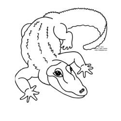 Coloring page: Zoo (Animals) #12735 - Printable coloring pages