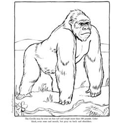 Coloring page: Zoo (Animals) #12736 - Free Printable Coloring Pages