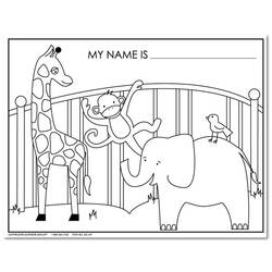 Coloring page: Zoo (Animals) #12746 - Printable coloring pages