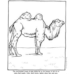 Coloring page: Zoo (Animals) #12750 - Free Printable Coloring Pages