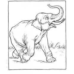 Coloring page: Zoo (Animals) #12753 - Free Printable Coloring Pages