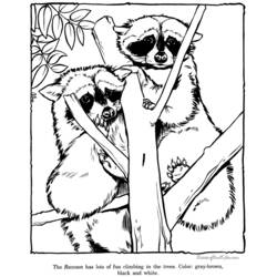 Coloring page: Zoo (Animals) #12780 - Free Printable Coloring Pages