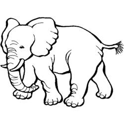 Coloring page: Zoo (Animals) #12787 - Free Printable Coloring Pages