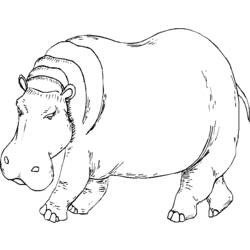 Coloring page: Zoo (Animals) #12793 - Free Printable Coloring Pages