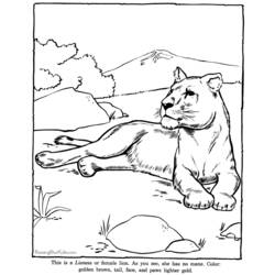 Coloring page: Zoo (Animals) #12795 - Free Printable Coloring Pages