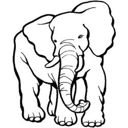 Coloring page: Zoo (Animals) #12801 - Free Printable Coloring Pages