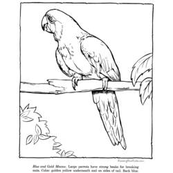Coloring page: Zoo (Animals) #12806 - Free Printable Coloring Pages