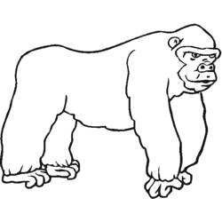 Coloring page: Zoo (Animals) #12813 - Free Printable Coloring Pages