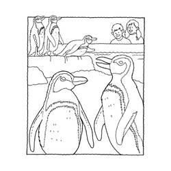 Coloring page: Zoo (Animals) #12817 - Free Printable Coloring Pages