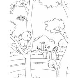 Coloring page: Zoo (Animals) #12831 - Free Printable Coloring Pages