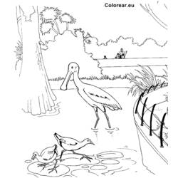 Coloring page: Zoo (Animals) #12833 - Free Printable Coloring Pages