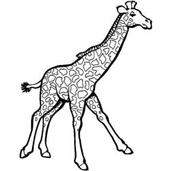 Coloring page: Zoo (Animals) #12841 - Free Printable Coloring Pages