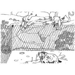 Coloring page: Zoo (Animals) #12846 - Free Printable Coloring Pages