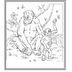 Coloring page: Zoo (Animals) #12851 - Free Printable Coloring Pages