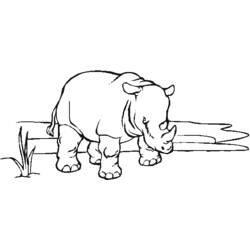 Coloring page: Zoo (Animals) #12855 - Free Printable Coloring Pages