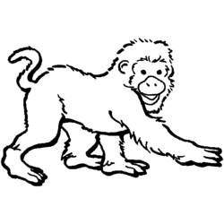 Coloring page: Zoo (Animals) #12873 - Free Printable Coloring Pages