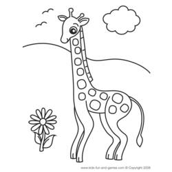 Coloring page: Zoo (Animals) #12877 - Free Printable Coloring Pages