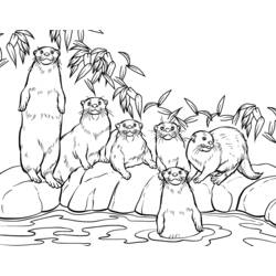 Coloring page: Zoo (Animals) #12879 - Free Printable Coloring Pages