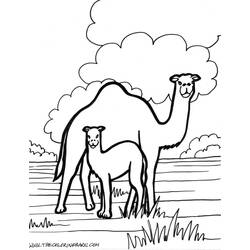 Coloring page: Zoo (Animals) #12885 - Free Printable Coloring Pages