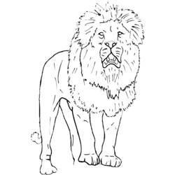 Coloring page: Zoo (Animals) #12893 - Free Printable Coloring Pages