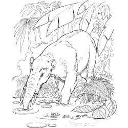 Coloring page: Zoo (Animals) #12903 - Free Printable Coloring Pages