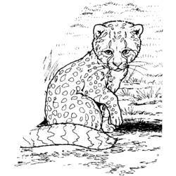 Coloring page: Zoo (Animals) #12914 - Free Printable Coloring Pages