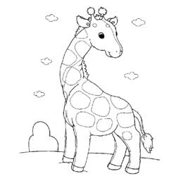 Coloring page: Zoo (Animals) #12915 - Free Printable Coloring Pages