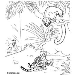 Coloring page: Zoo (Animals) #12916 - Free Printable Coloring Pages