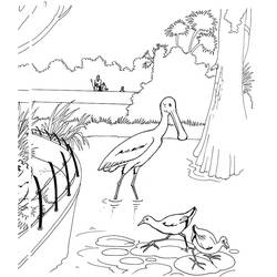 Zoo (Animals) coloring page #201746 to print and color