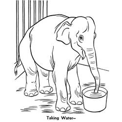 Zoo (Animals) coloring page #201751 to print and color