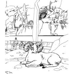 Zoo (Animals) coloring page #201762 to print and color