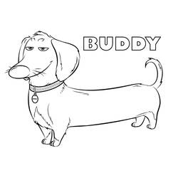 Coloring page: The Secret Life of Pets (Animation Movies) #206610 - Free Printable Coloring Pages