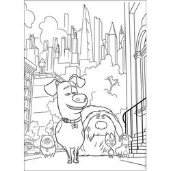 Coloring page: The Secret Life of Pets (Animation Movies) #206618 - Free Printable Coloring Pages