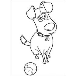 Coloring page: The Secret Life of Pets (Animation Movies) #206631 - Free Printable Coloring Pages