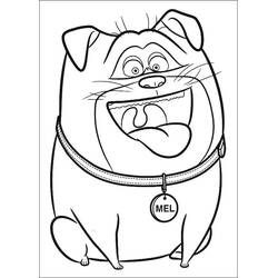 Coloring page: The Secret Life of Pets (Animation Movies) #206633 - Free Printable Coloring Pages