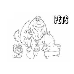 Coloring page: The Secret Life of Pets (Animation Movies) #206636 - Free Printable Coloring Pages