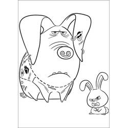 Coloring page: The Secret Life of Pets (Animation Movies) #206640 - Free Printable Coloring Pages