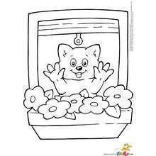 Coloring page: Window (Buildings and Architecture) #168814 - Free Printable Coloring Pages